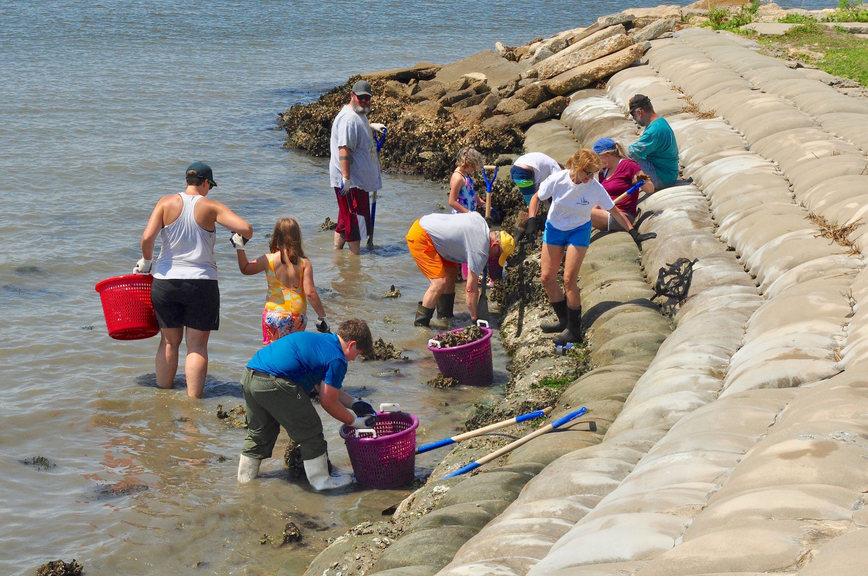 Scouts, volunteers help with Carteret Community College shoreline repairs